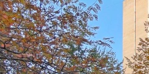 4-комн квартира аллея Поликарпова, 1