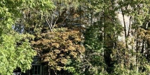 2-комн квартира проспект Металлистов, 82