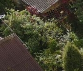 Продать Дачи, коттеджи, загородные дома Дубочки-2 СНТ, улица Любимая   