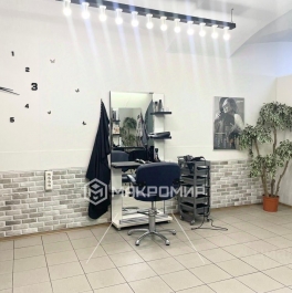 Продажа ПСН Московский пр-кт, д. 7 литА Продажа ПСН Московский пр-кт, д. 7 литА