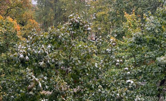 Продажа 2-комн квартиры на вторичном рынке ул Орбели,  д. 8