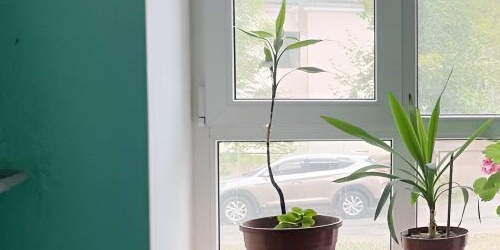 4-комн квартира шоссе Революции, 112