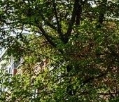 Продать Квартиры вторичка Большой Смоленский проспект, 30   