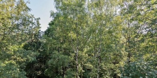 2-комн квартира Металлистов пр-кт,  д. 25,  к. 2