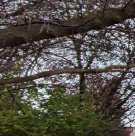 Продажа 2-комн квартиры на вторичном рынке Ступино, улица Тимирязева, 3 Продажа 2-комн квартиры на вторичном рынке Ступино, улица Тимирязева, 3