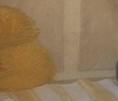 Сдать в аренду Квартиры вторичка Изюмская улица, 46   