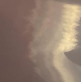 Продажа 1-комн квартиры на вторичном рынке Сертолово, улица Любимая, 3