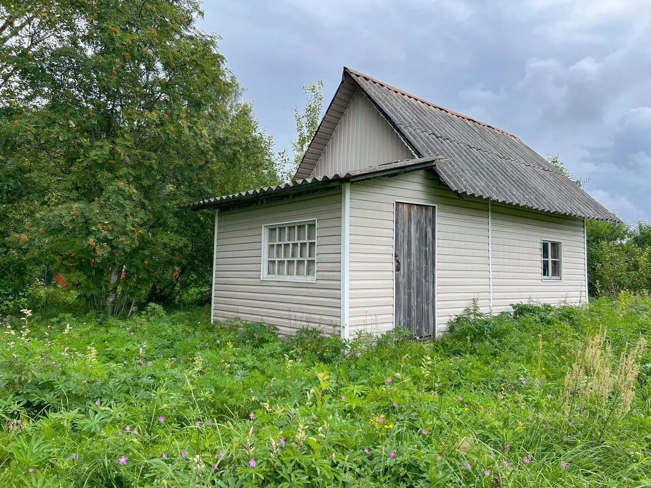 Продажа дома Мичуринское СНТ