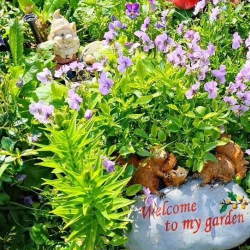 Коттедж/дом Беляевский Мох садоводческий массив, Победа СНТ, 7-я линия, 26