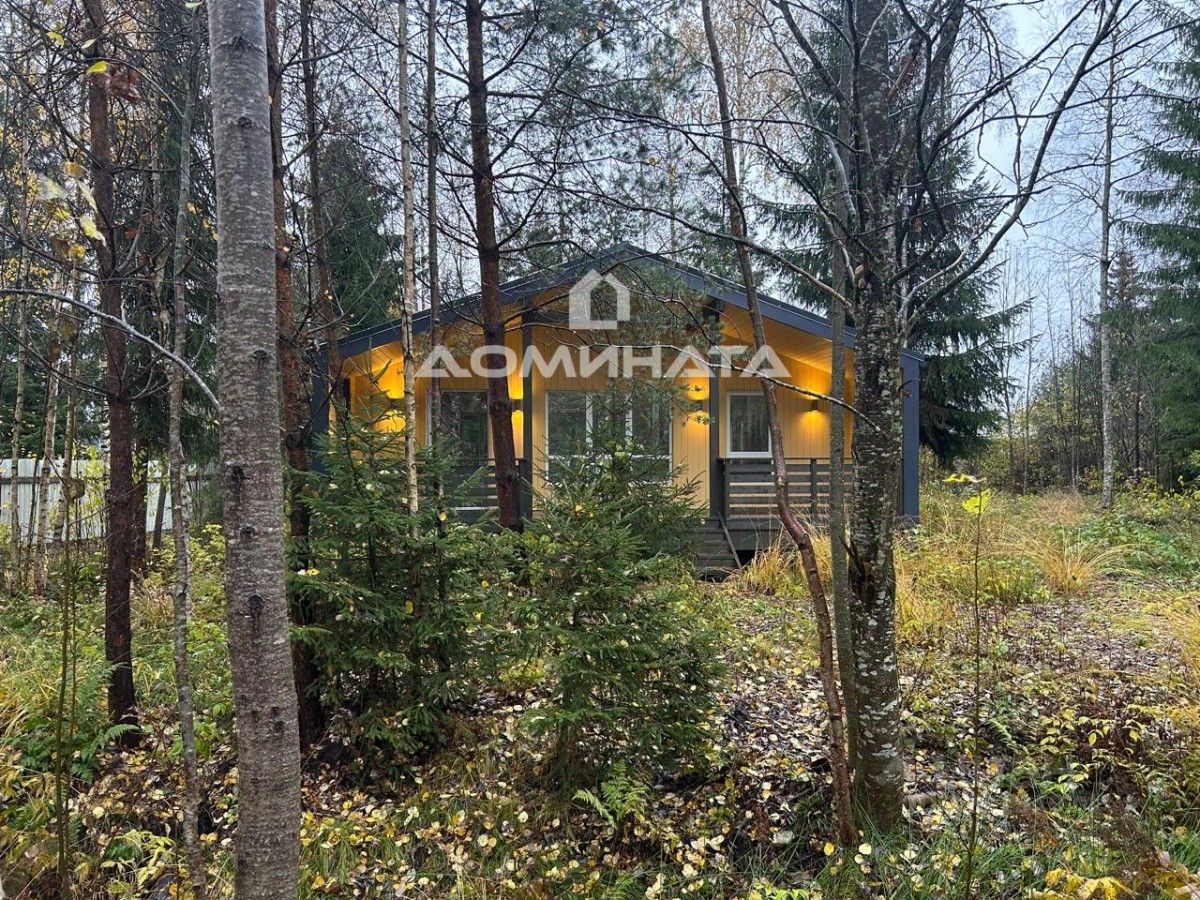 Продажа дома Виза СНТ, 87