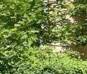 Продать Квартиры вторичка Огородный переулок, 6К2   