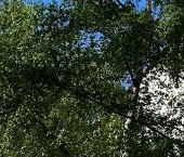 Продать Квартиры вторичка Реутовская улица, 16   