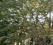 Продать Комнаты в квартирах Железнодорожный мкр, Балашиха, улица Некрасова  7 