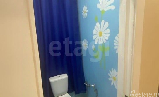 Продажа 2-комн квартиры на вторичном рынке Муринский 1-й пр-кт,  д. 29/20