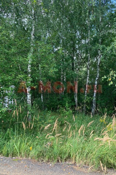 Продажа земли деревня Тимоново,