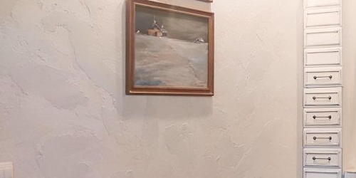 4-комн квартира проспект Большой Петроградской стороны, 104