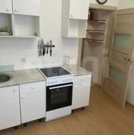 Продажа 1-комн квартиры на вторичном рынке Арцеуловская Аллея,  д. 23 к1