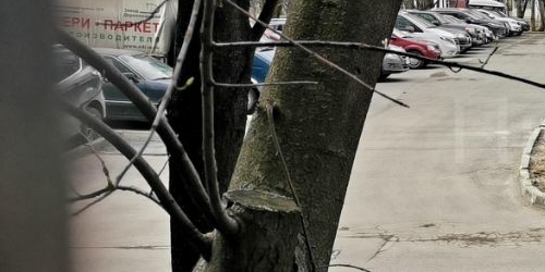 3-комн квартира Чусовская улица, 6К2