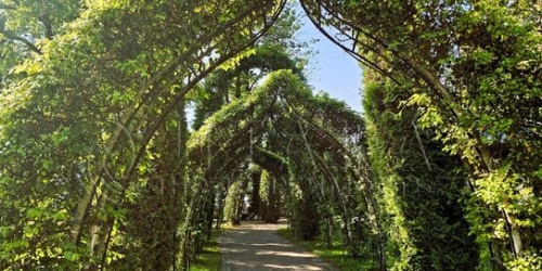 3-комн квартира Петергоф г, Санкт-Петербургский пр-кт,  д. 30