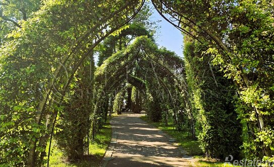 Продажа 3-комн квартиры на вторичном рынке Петергоф г, Санкт-Петербургский пр-кт,  д. 30