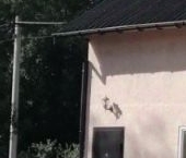 Продать Дачи, коттеджи, загородные дома Выборг, Подсобное СНТ, улица 3-я Шафрановая  12 