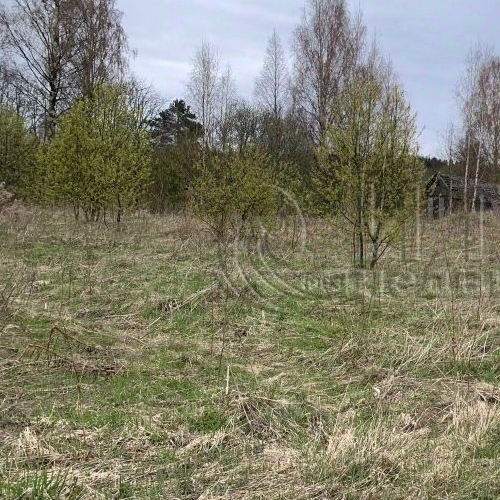 Коттедж/дом д. Шамокша, улица Сельская, 3