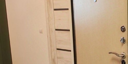 1-комн квартира Всеволожск, улица Шинников, 2к6