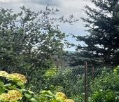 Продать Дачи, коттеджи, загородные дома А-180 Нарва 86-й км   