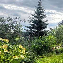 Продажа дома А-180 Нарва 86-й км Продажа дома А-180 Нарва 86-й км