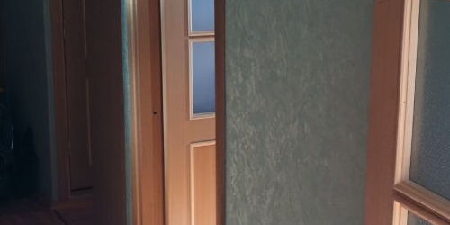 2-комн квартира Пушкин, улица Вячеслава Шишкова, 16