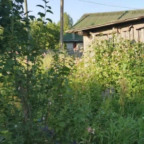 Коттедж/дом д. Березняк, улица Ветеранов, 40