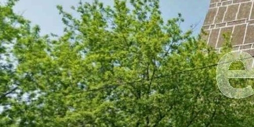 1-комн квартира Новогиреевская улица, 22