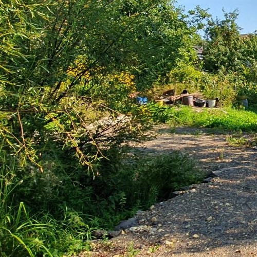 Коттедж/дом Никольское, Сокол-1 СНТ