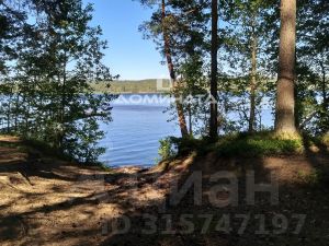 Продажа земли пос. Ганино, улица Хвойная