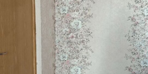 2-комн квартира Кастанаевская улица,  д. 56