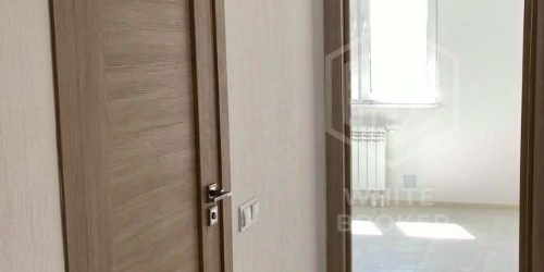 2-комн квартира переулок Посланников, 6