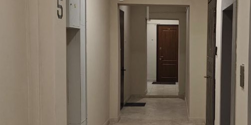 2-комн квартира Кутузовский проспект, 4/2