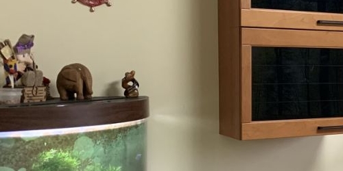 3-комн квартира улица Генерала Кузнецова, 17