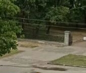 Сдать в аренду Квартиры вторичка Бассейная улица, 47   