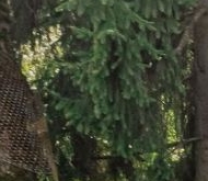 Продажа коттеджи и дома пос. Александровская, дорога Соболевская, 4