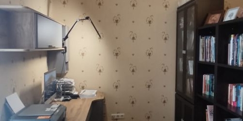 3-комн квартира Малоохтинский проспект, 84А