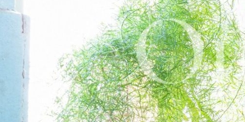 6-комн квартира улица Льва Толстого, 7