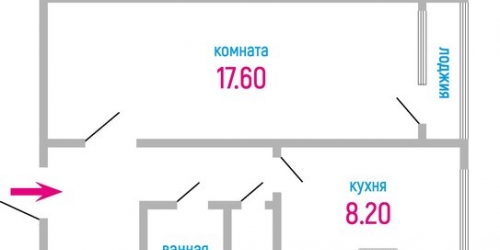 1-комн квартира Приморское шоссе,  д. 269