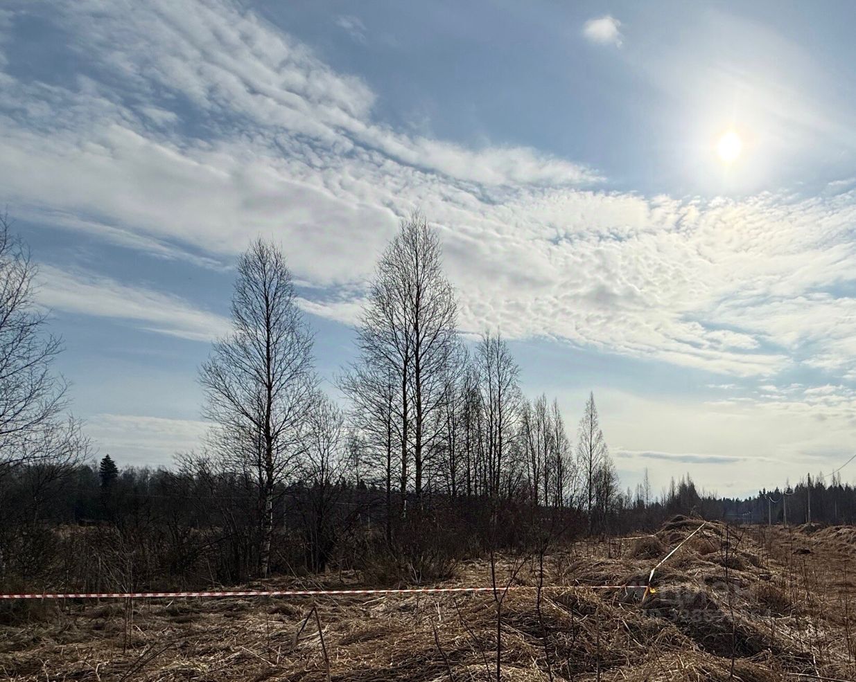 Продажа земли Корневские Гривки ТСН, 7-я линия
