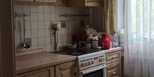 4-комн квартира улица Плещеева,  д. 11В