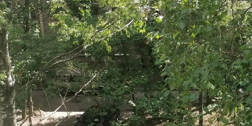 1-комн квартира проспект Тореза, 80