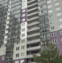 Продажа 2-комн квартиры на вторичном рынке Мурино г,  д. 3,  к. 3