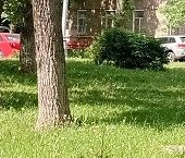 Продать Квартиры вторичка Профсоюзная улица, 24К2   