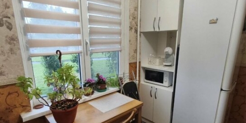 1-комн квартира Большевиков пр-кт,  д. 55,  к. 1