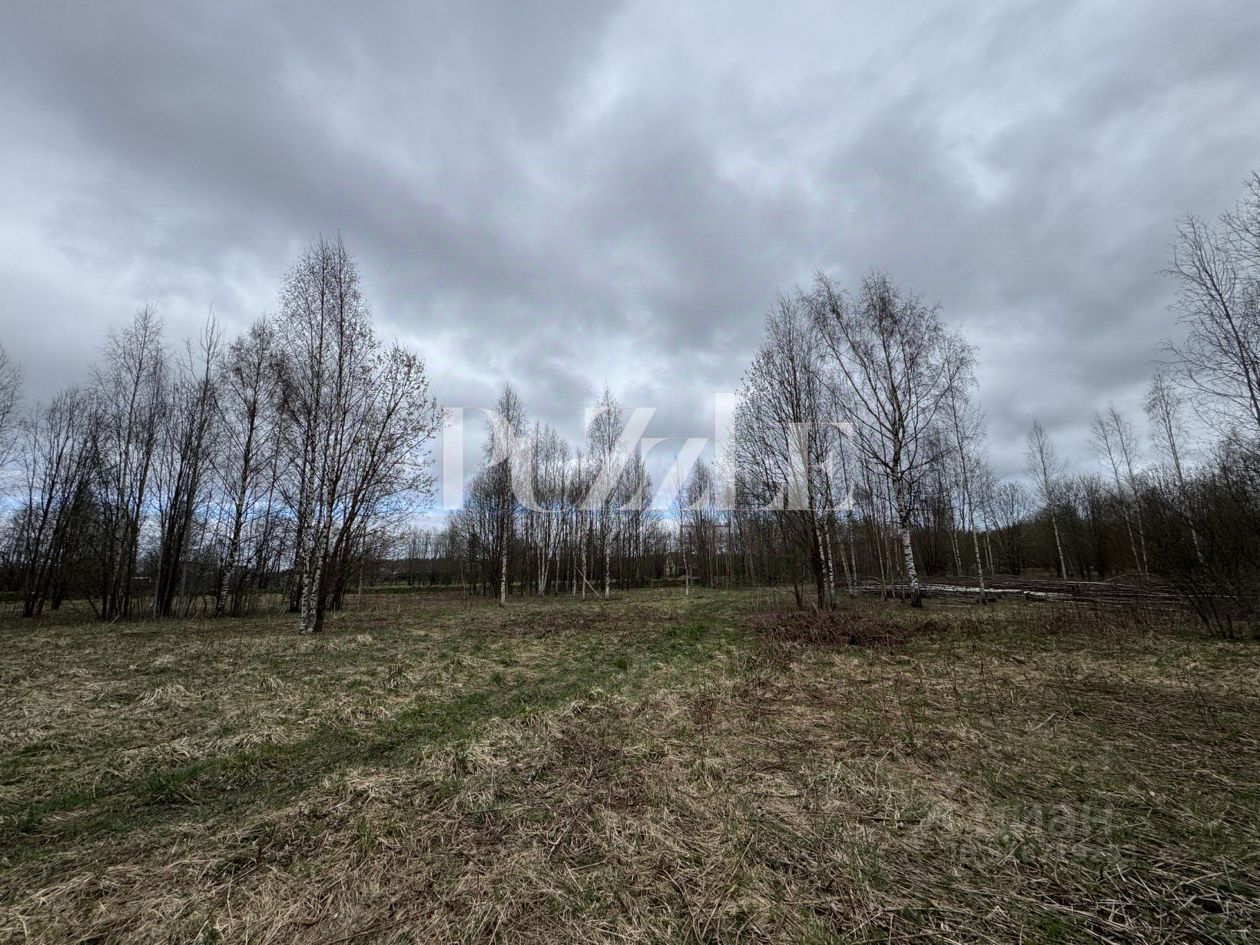 Продажа земли д. Лопухинка, 4